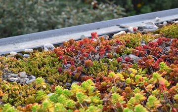 the cost of Potters Brook green roof installation