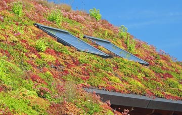 Potters Brook living roof systems