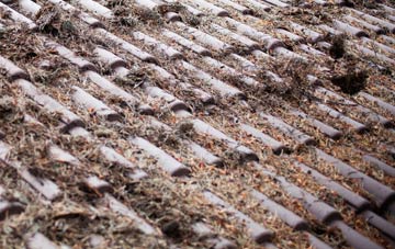 Potters Brook roof cleaning companies